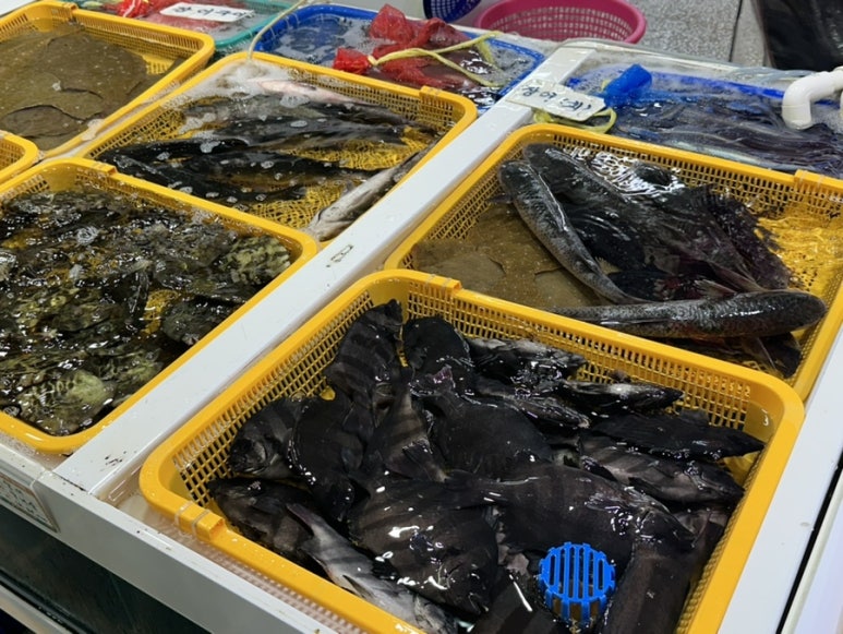 막창도둑고현점 이미지
