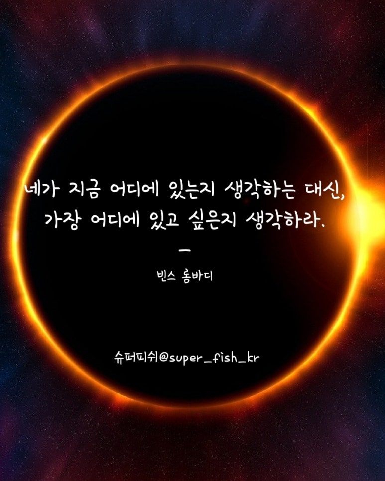 빈스피쉬 이미지