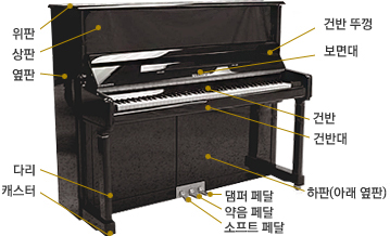 자마르실용음악학원 이미지