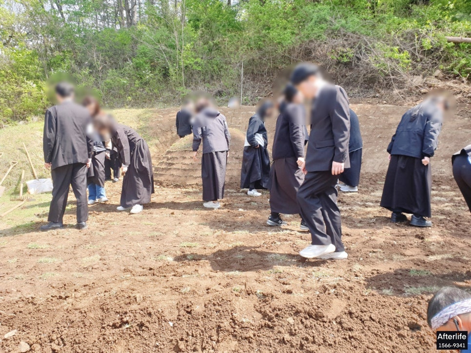 춘천상조 이미지