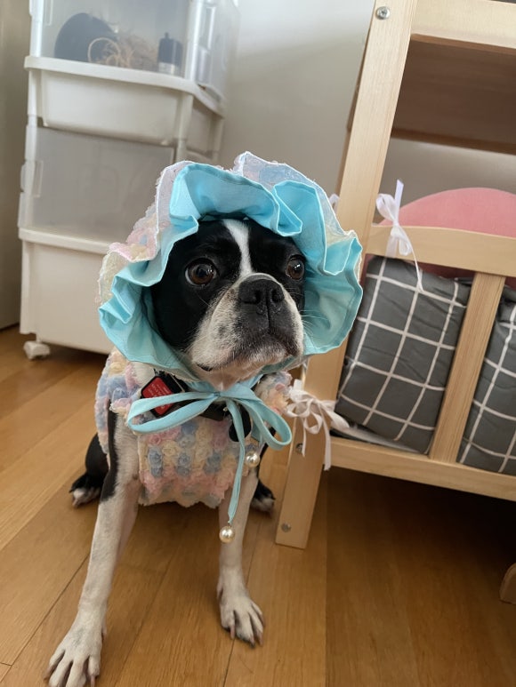 모띠앙 이미지