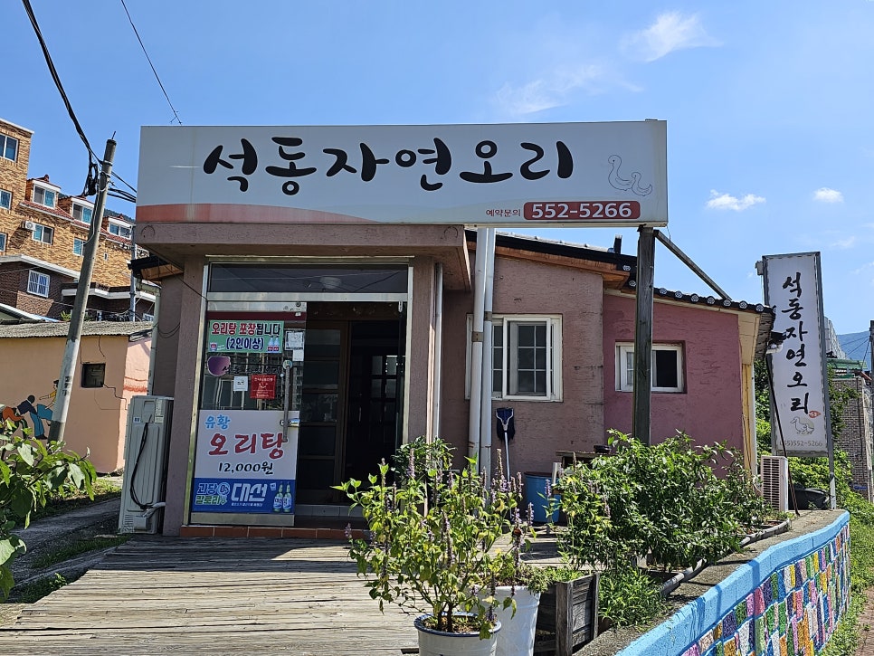 석동자연오리 이미지
