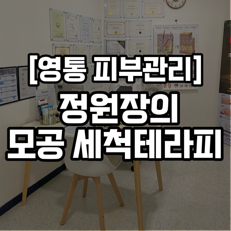 정원장의 모공세척테라피 이미지