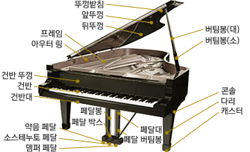 자마르실용음악학원 이미지