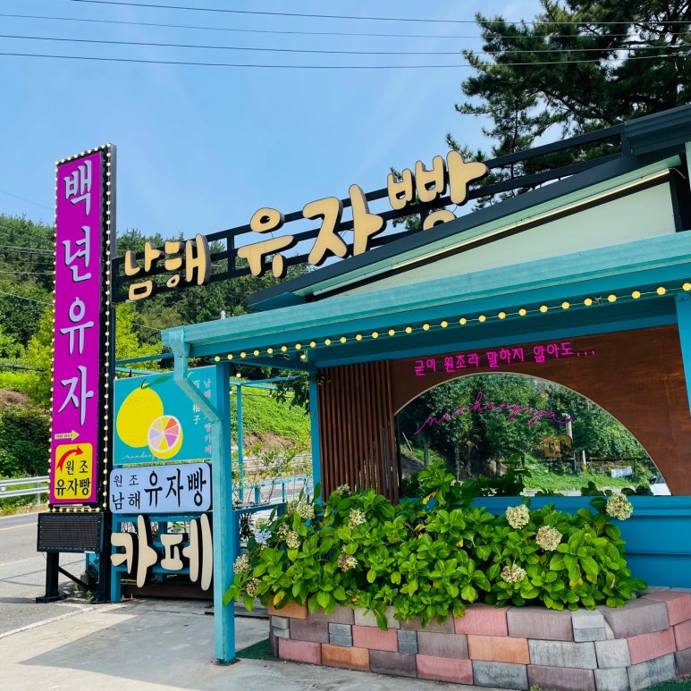 백년청과 이미지