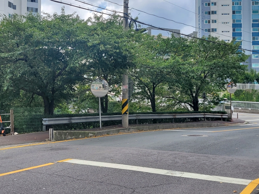 오르겔라움 이미지