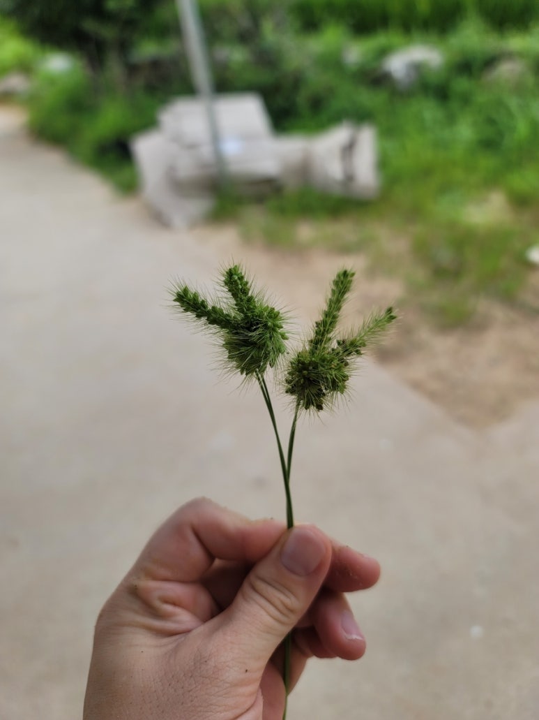 부산발도르프협동조합 이미지