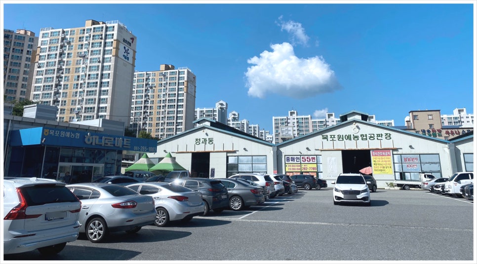 목포원예 농업협동조합 이미지