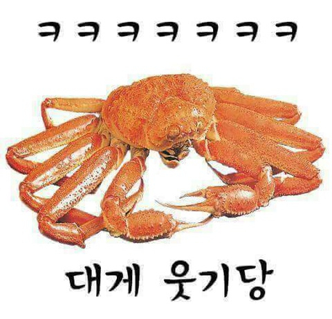 보리네일 이미지