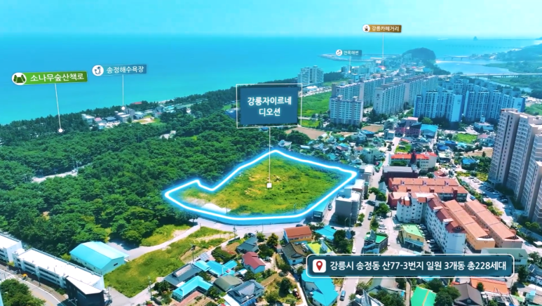 안목커피거리카라반캠핑 이미지