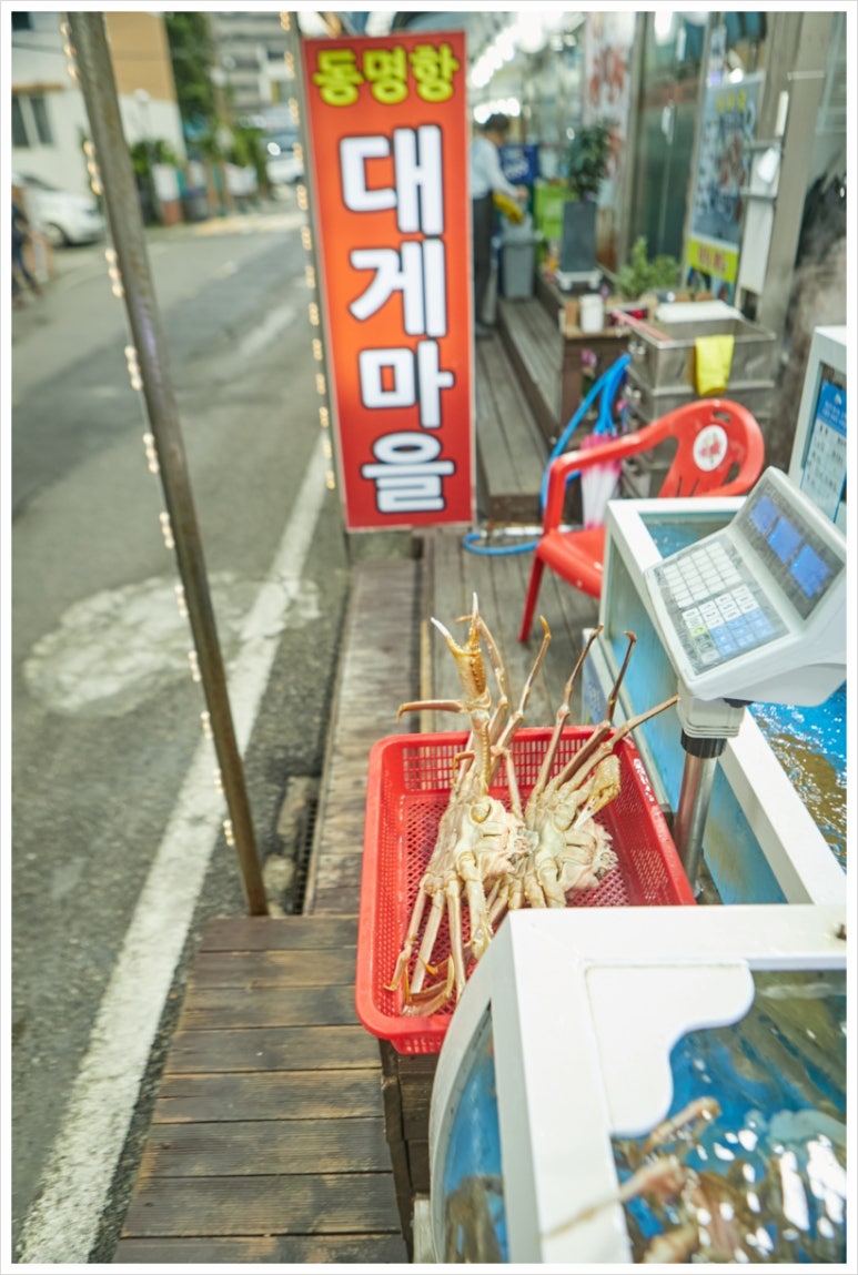 대게마을 이미지
