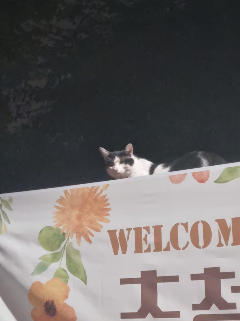 팔복건어물 이미지