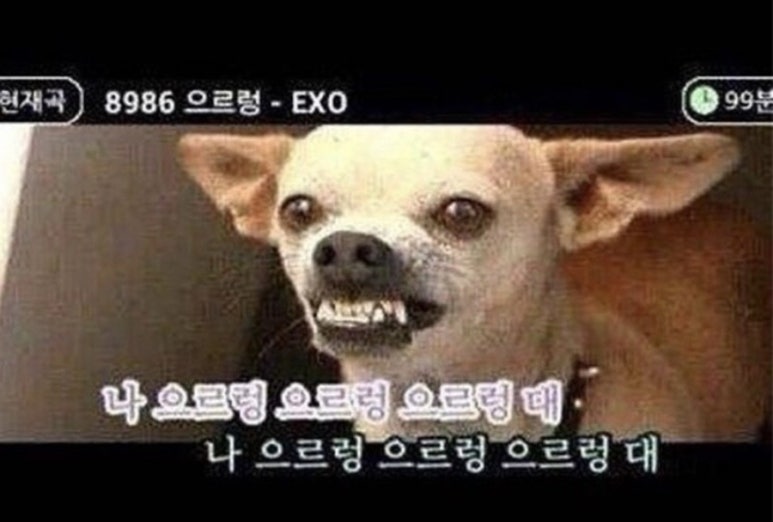 진성식당 이미지