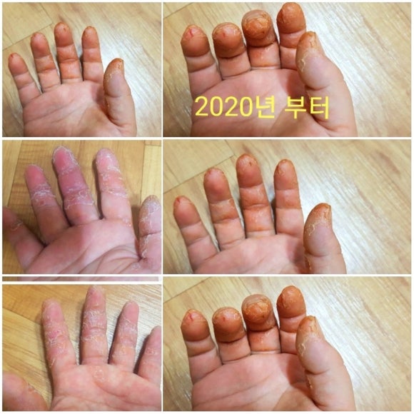 손드림 이미지