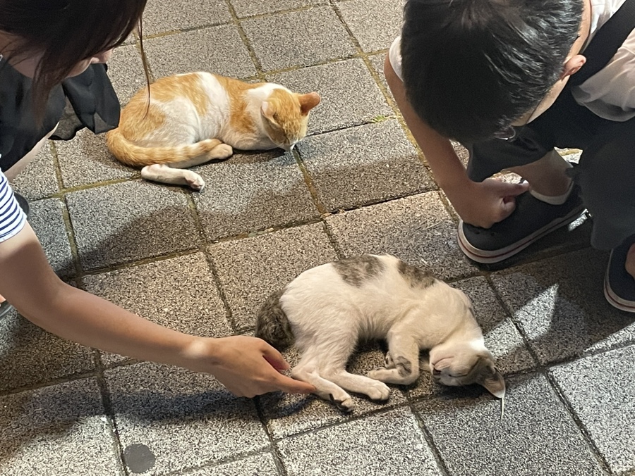 여수39수산 이미지