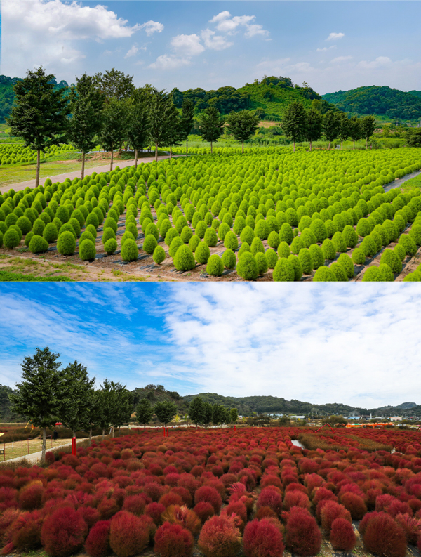민물공원 이미지