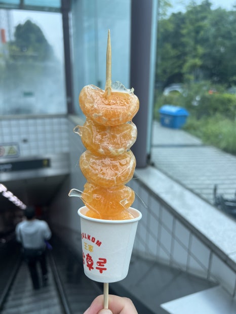탕탕탕탕후루 이미지