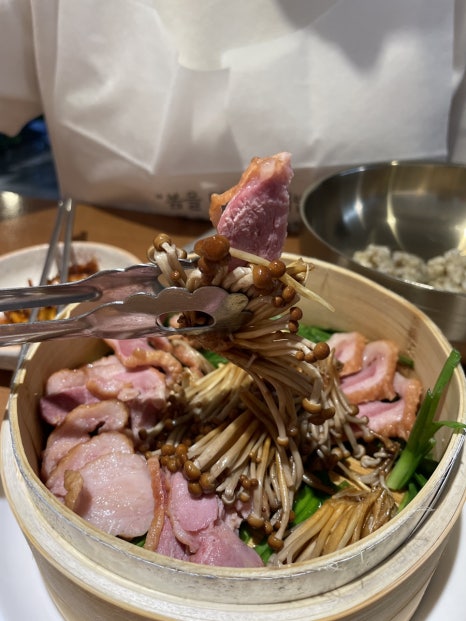 황금오리 이미지