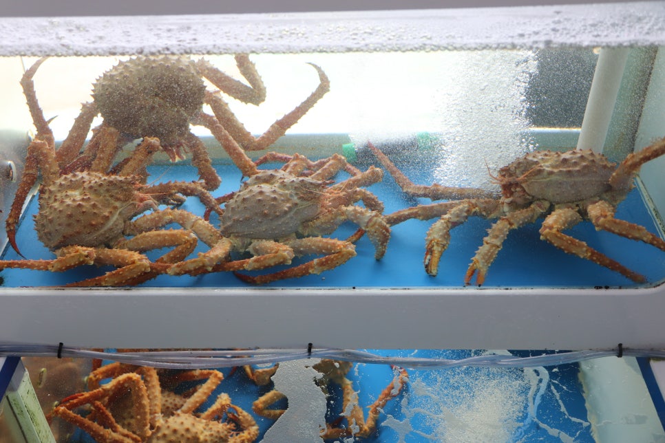 영덕대게전문점 이미지