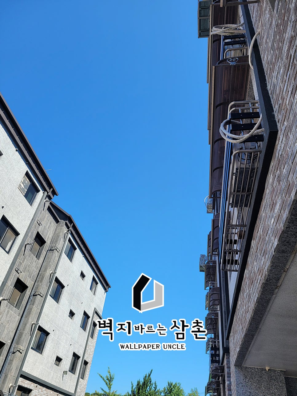벽지바르는삼촌 이미지