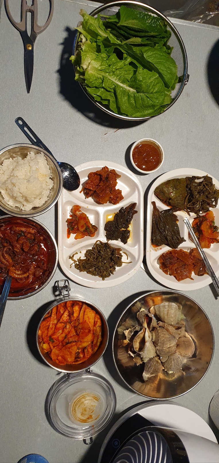 (주)스노우라인캠핑빌리지 이미지