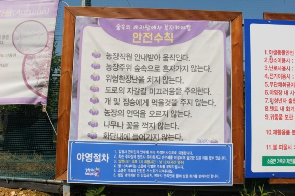 숲속의 베리팜 이미지