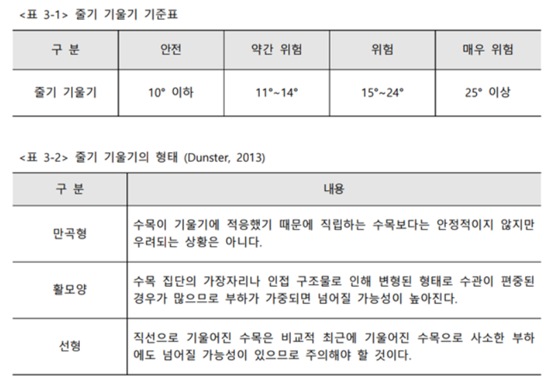 세이브트리엑스퍼트 이미지