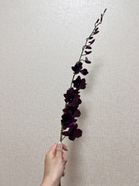 최정인플라워 이미지