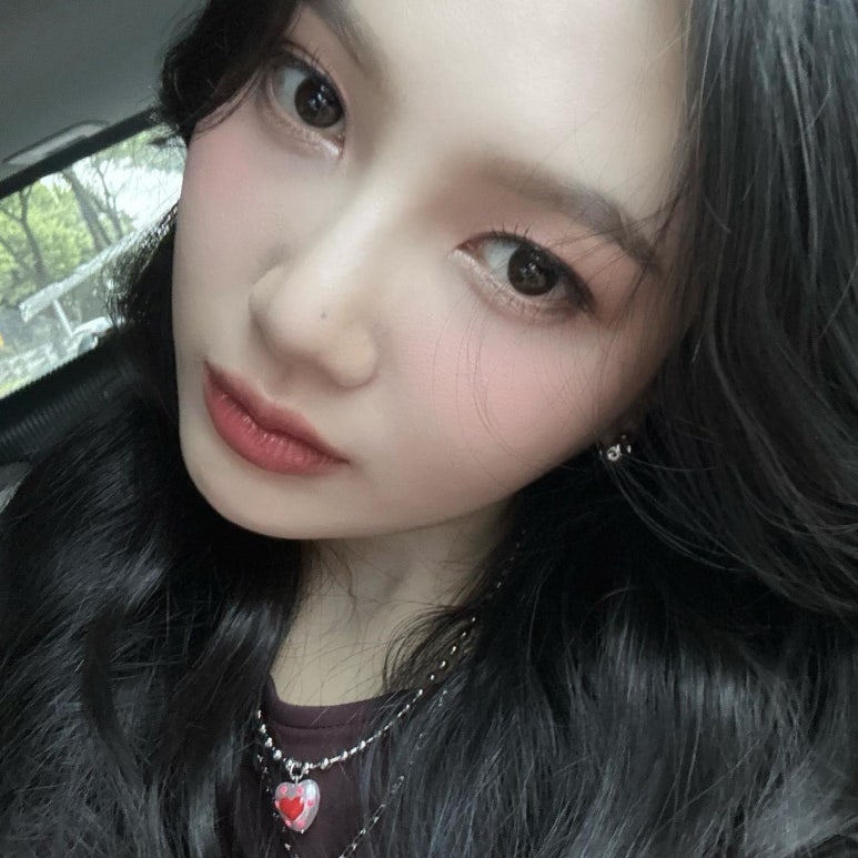 조이트리 이미지