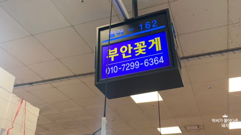 부안꽃게1 이미지