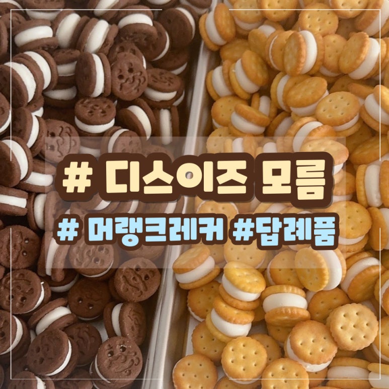 디스이즈모름 이미지