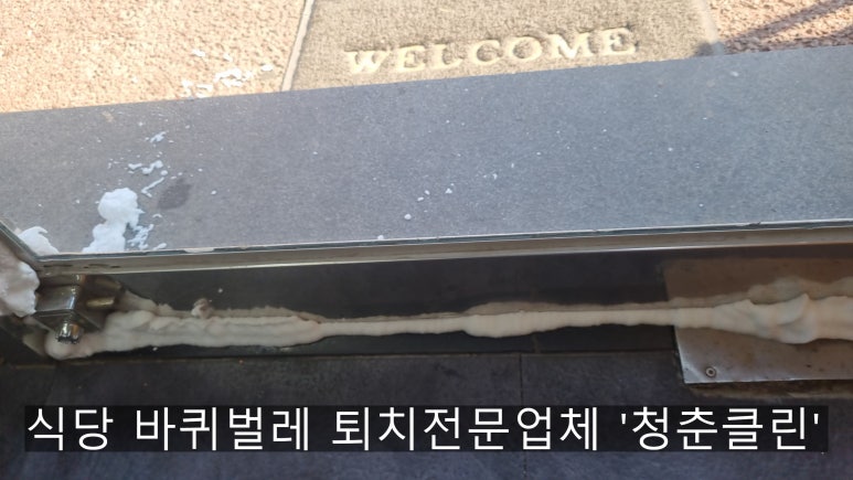 청춘청소방역 이미지