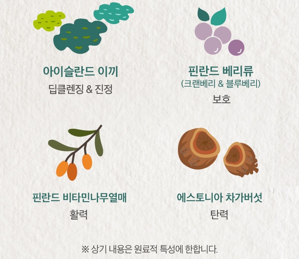 포레스트스파 이미지