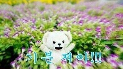 연남물갈비 이미지