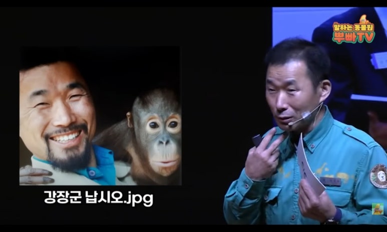 판다북 이미지