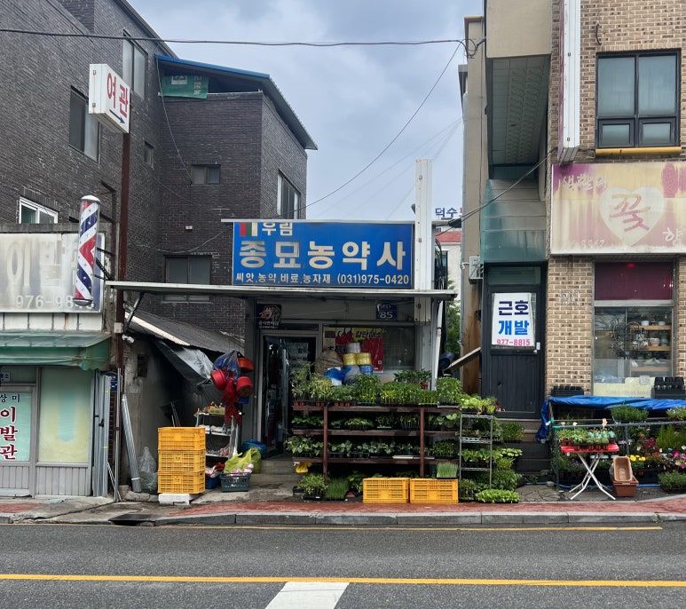 일산종묘사 이미지