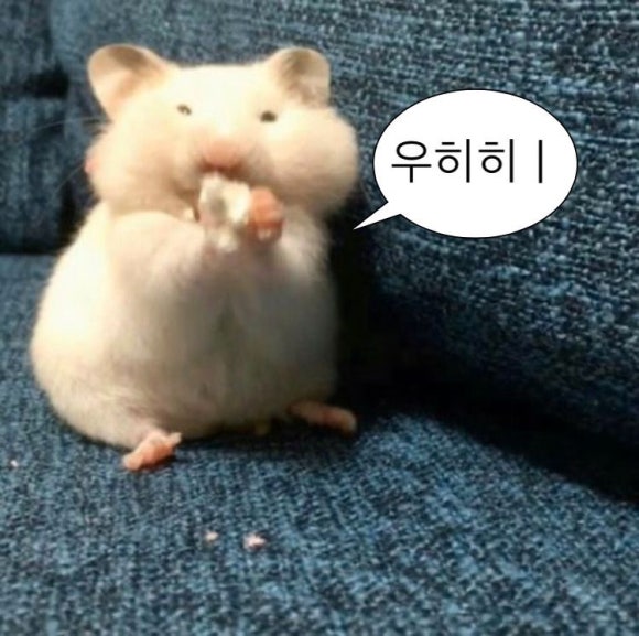 럭키정육점 이미지