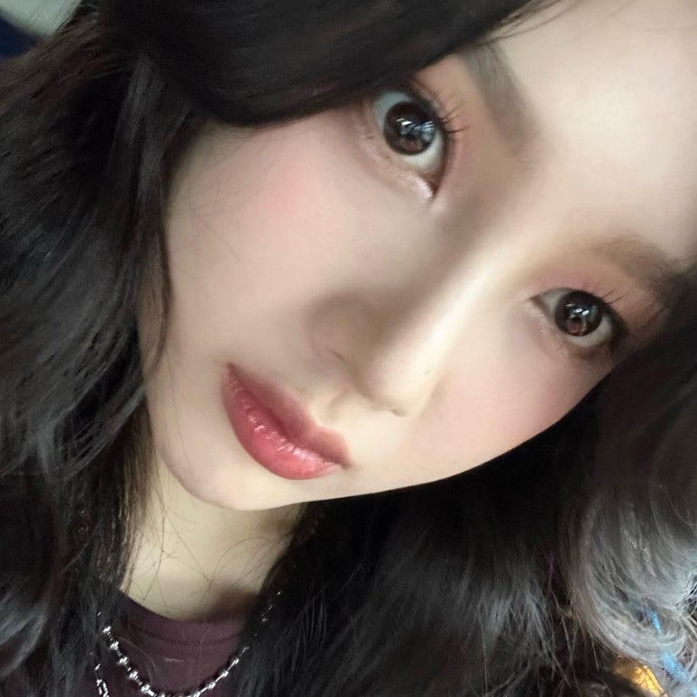 조이트리 이미지