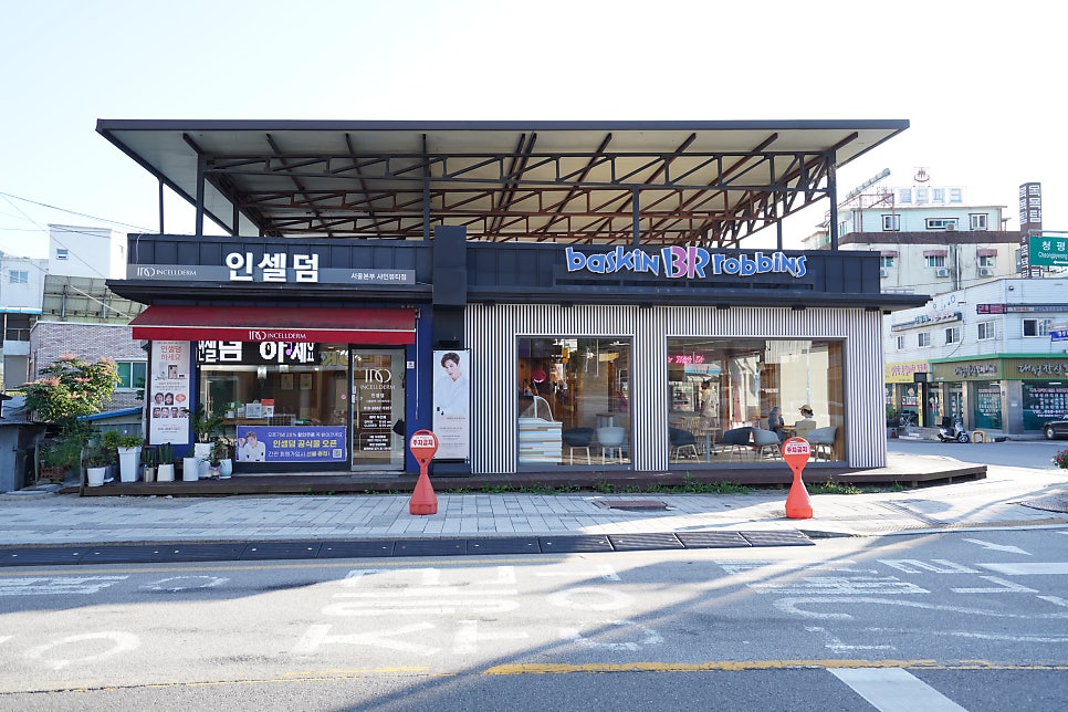 인셀덤샤인 이미지