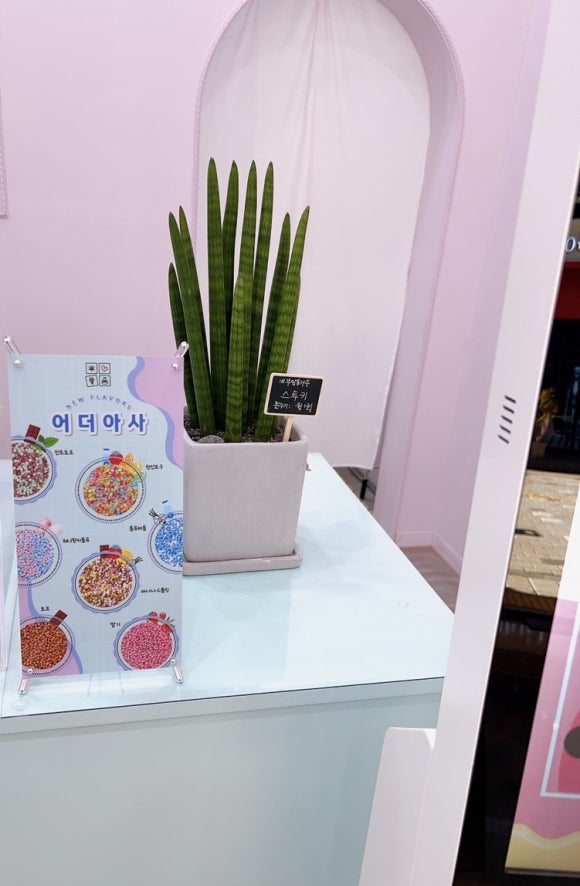 어더아사검단 이미지