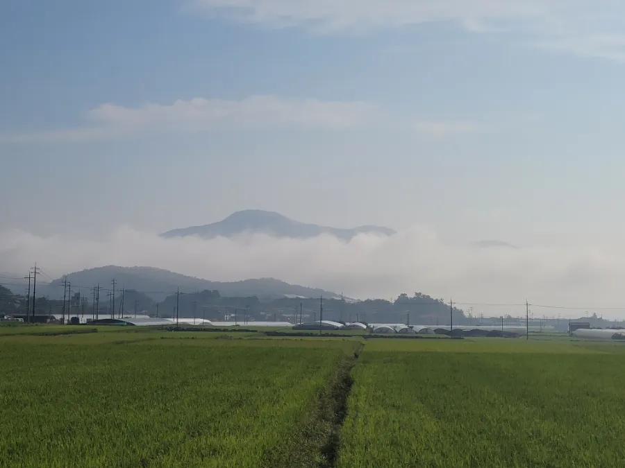 벌교농업협동조합 이미지