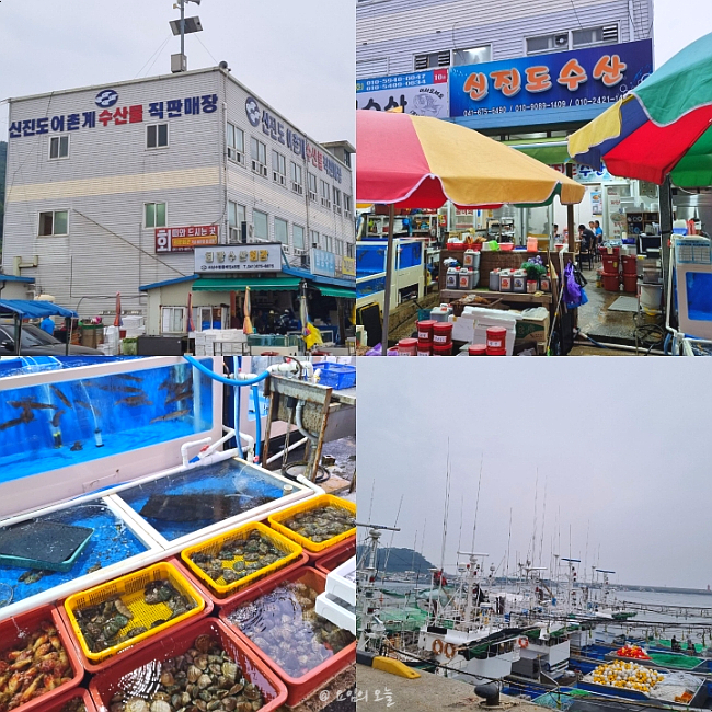 신진도수산 이미지