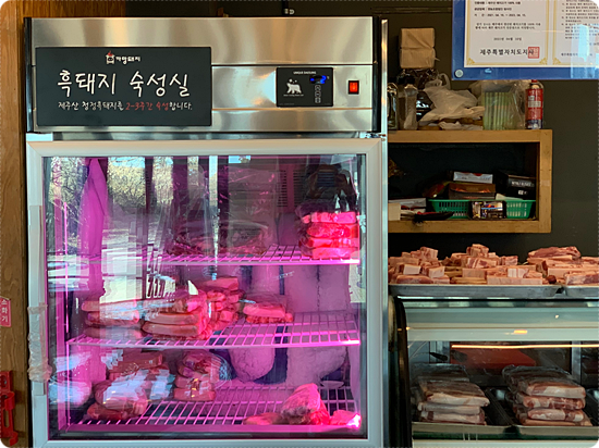 돼지짱 이미지