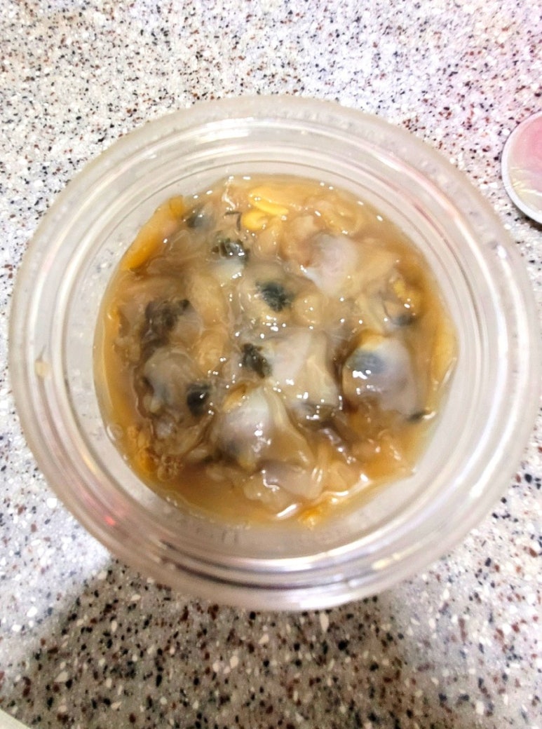 반찬애진심 이미지