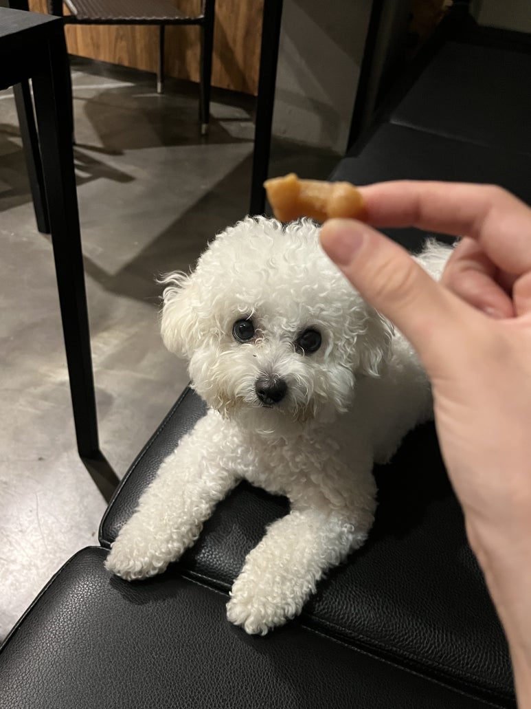 루이네워시존 이미지