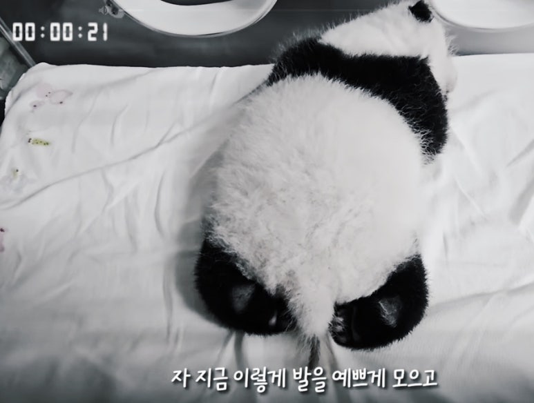 칸토천안 이미지