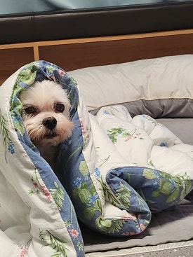 한우돈갈빗집 이미지