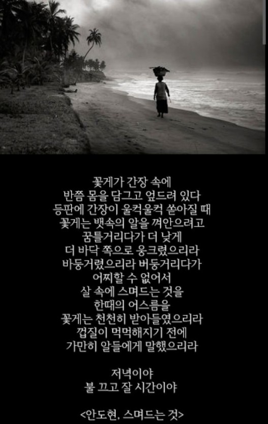 녹돼야지 이미지