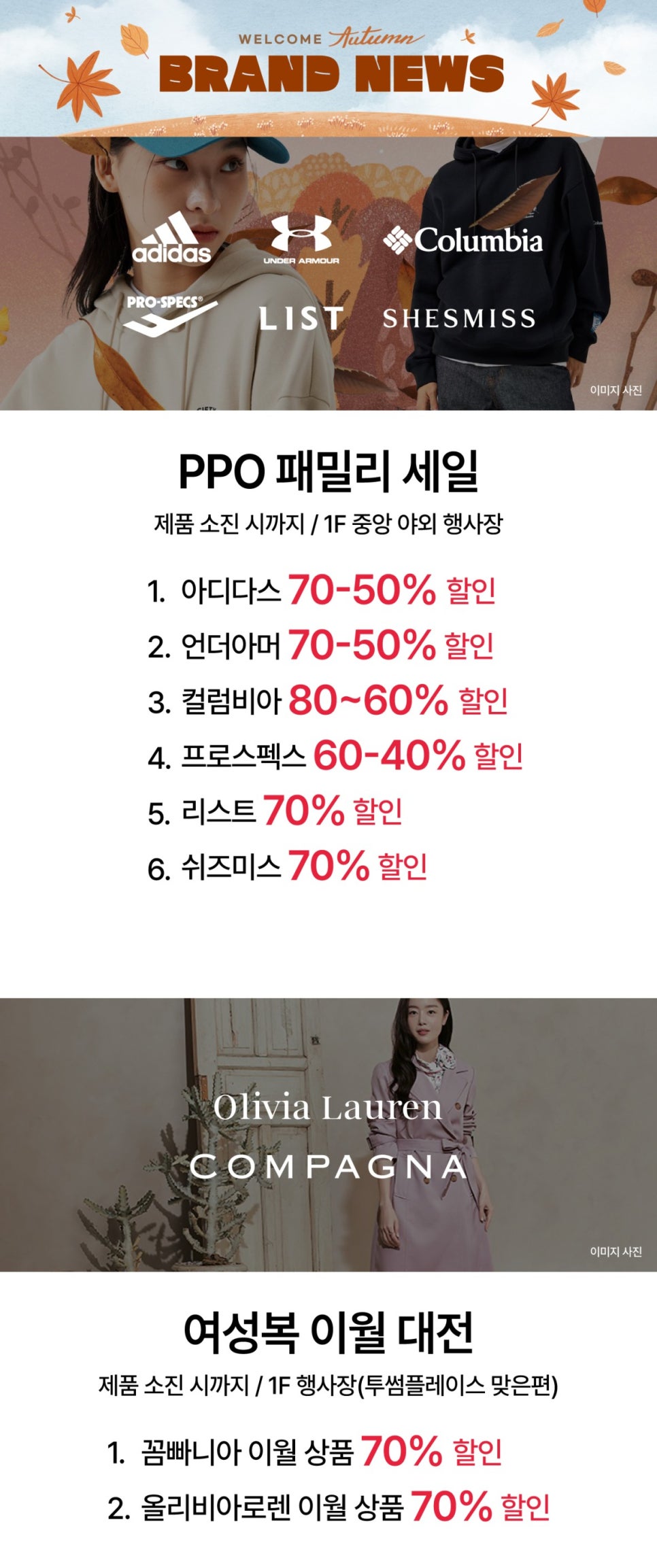 올리비아로렌대전 이미지