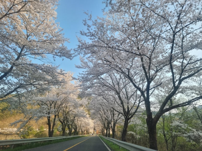 수리덤캠핑장 이미지